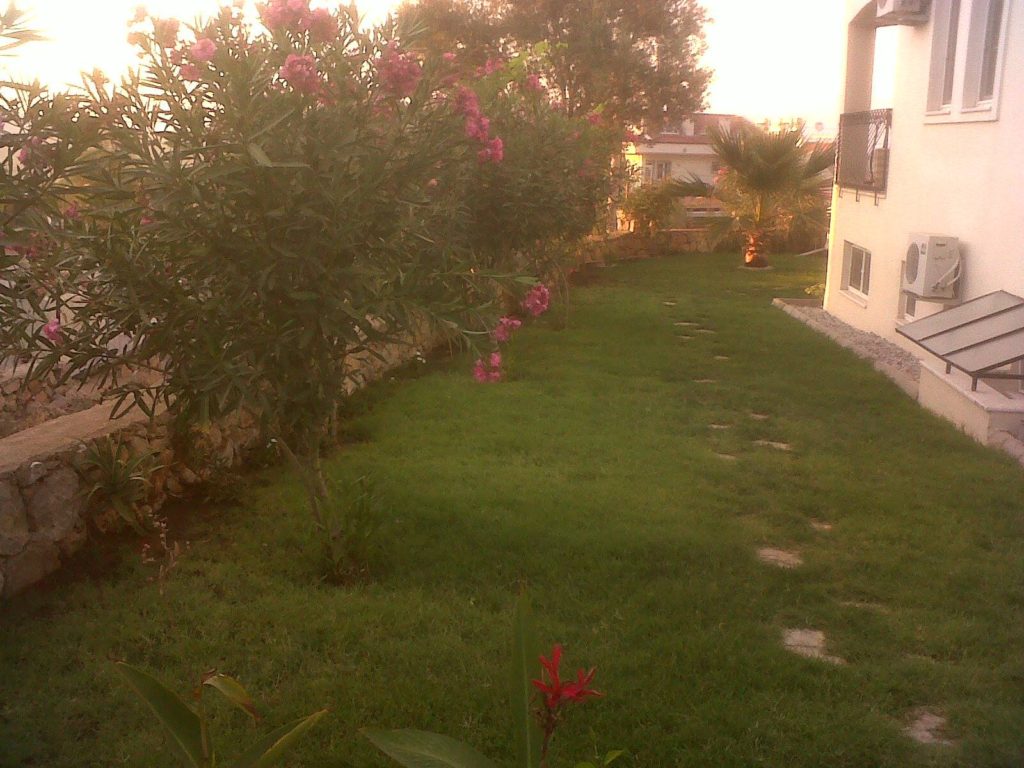 Side Gardens