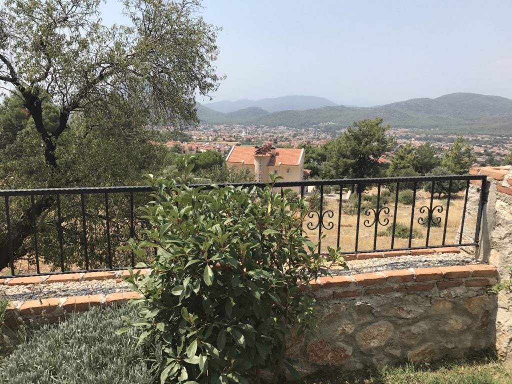 View from the pool