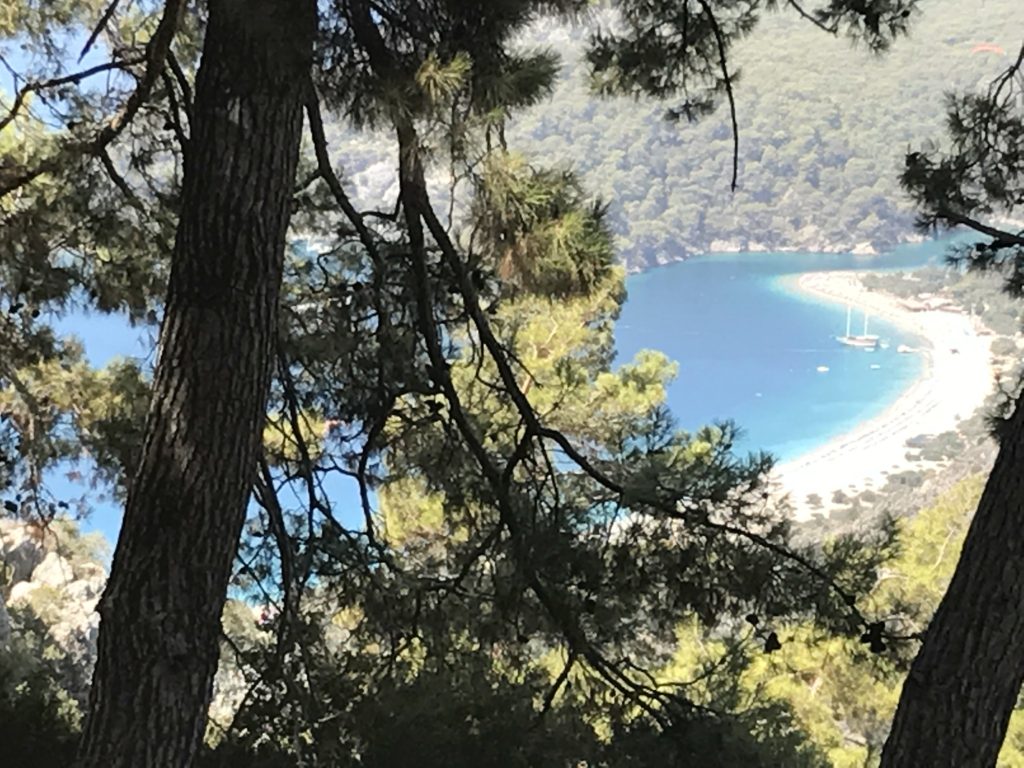 Through the trees at Oludeniz