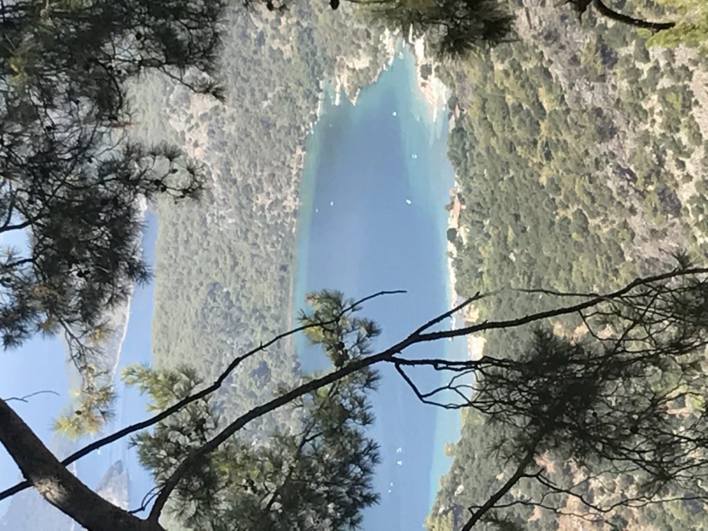 IMG_0465