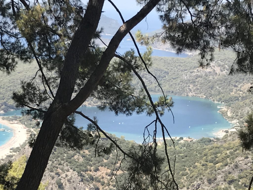IMG_0467